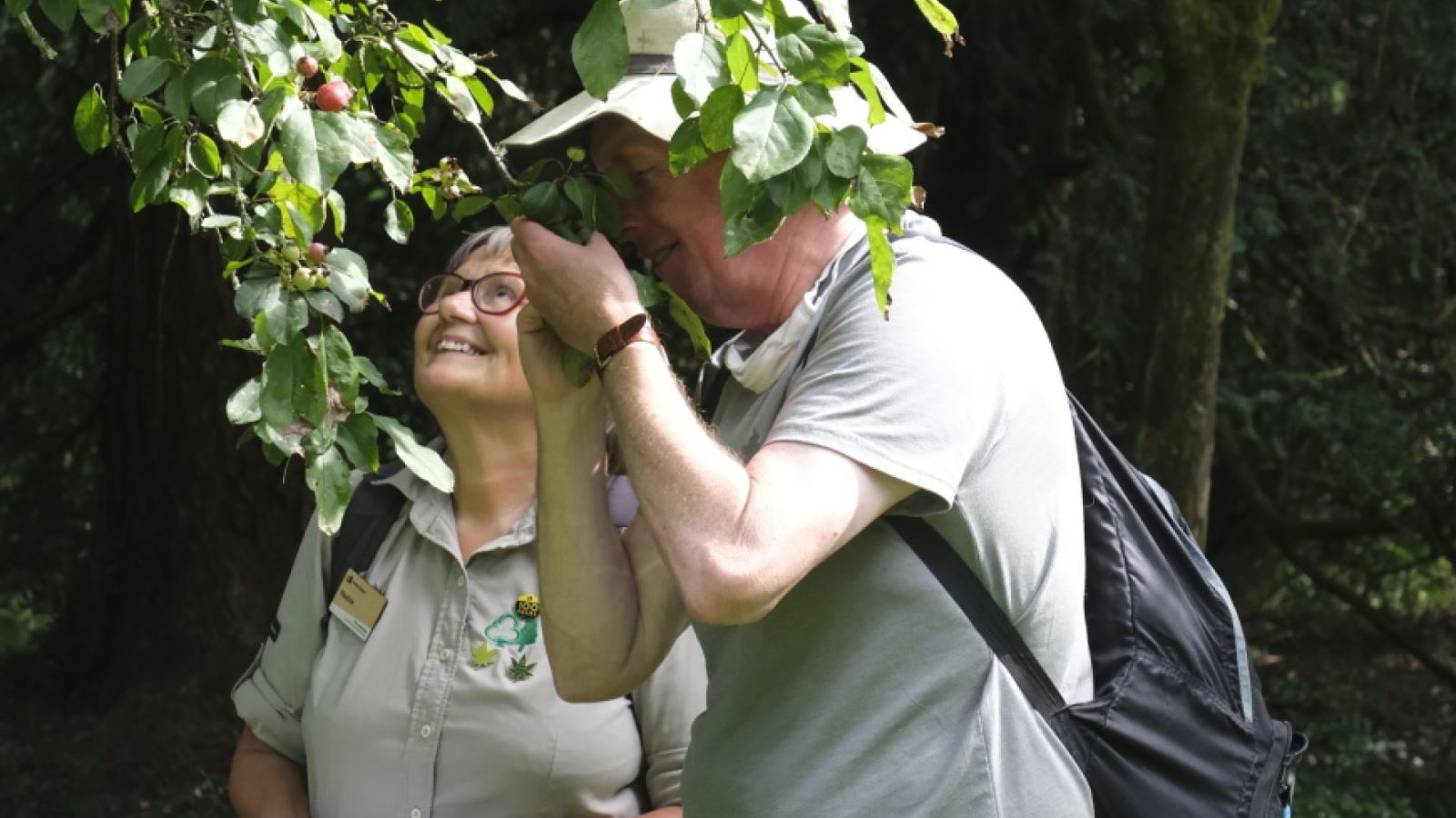 A woman and a man smelling the green leaves of a tree on a sensory walk at Westonbirt Arboretum